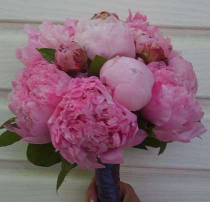 bouqs peonies Frequently asked flower questions – the bouqs